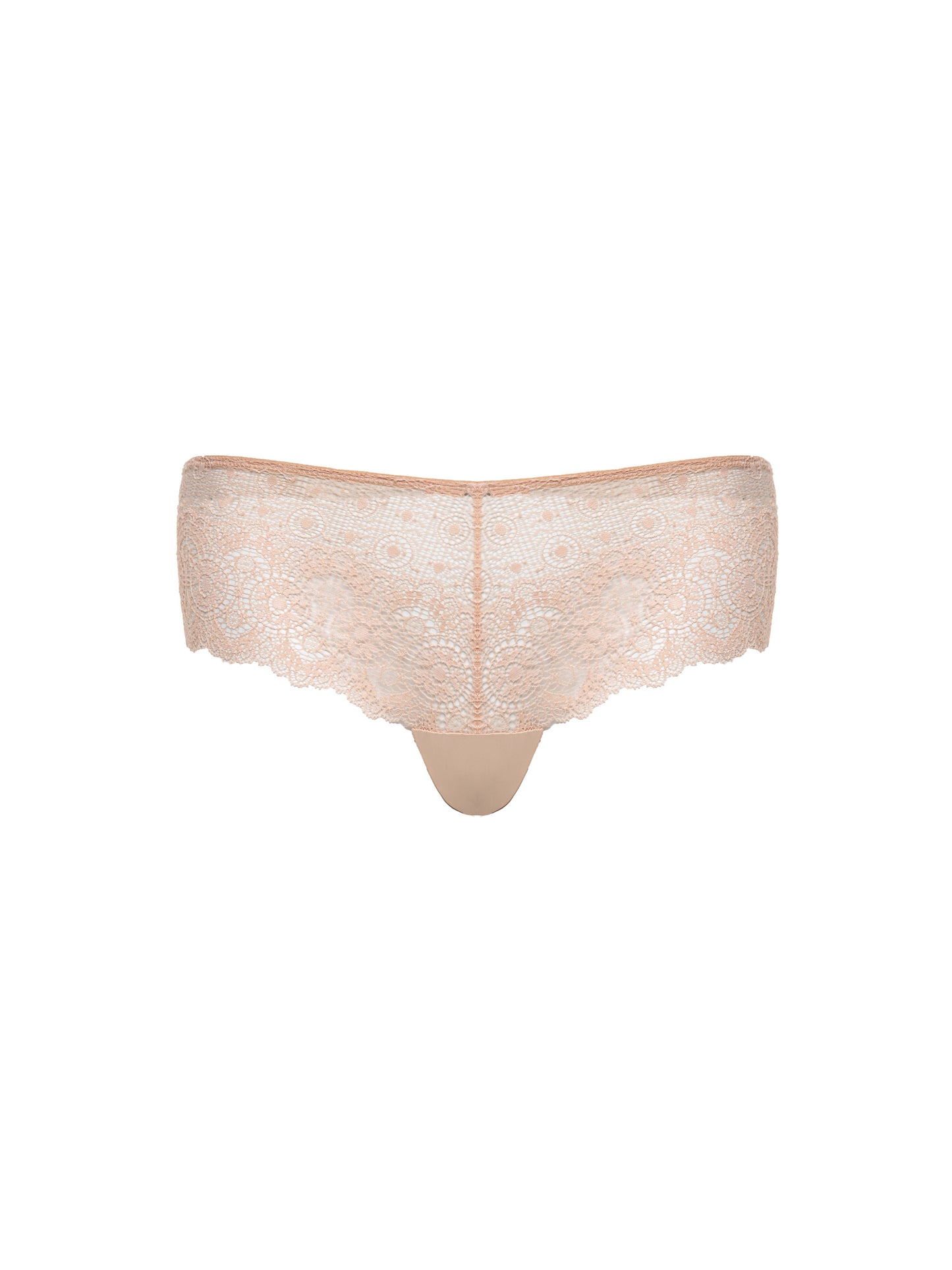 1502 Lace Briefs - Nude