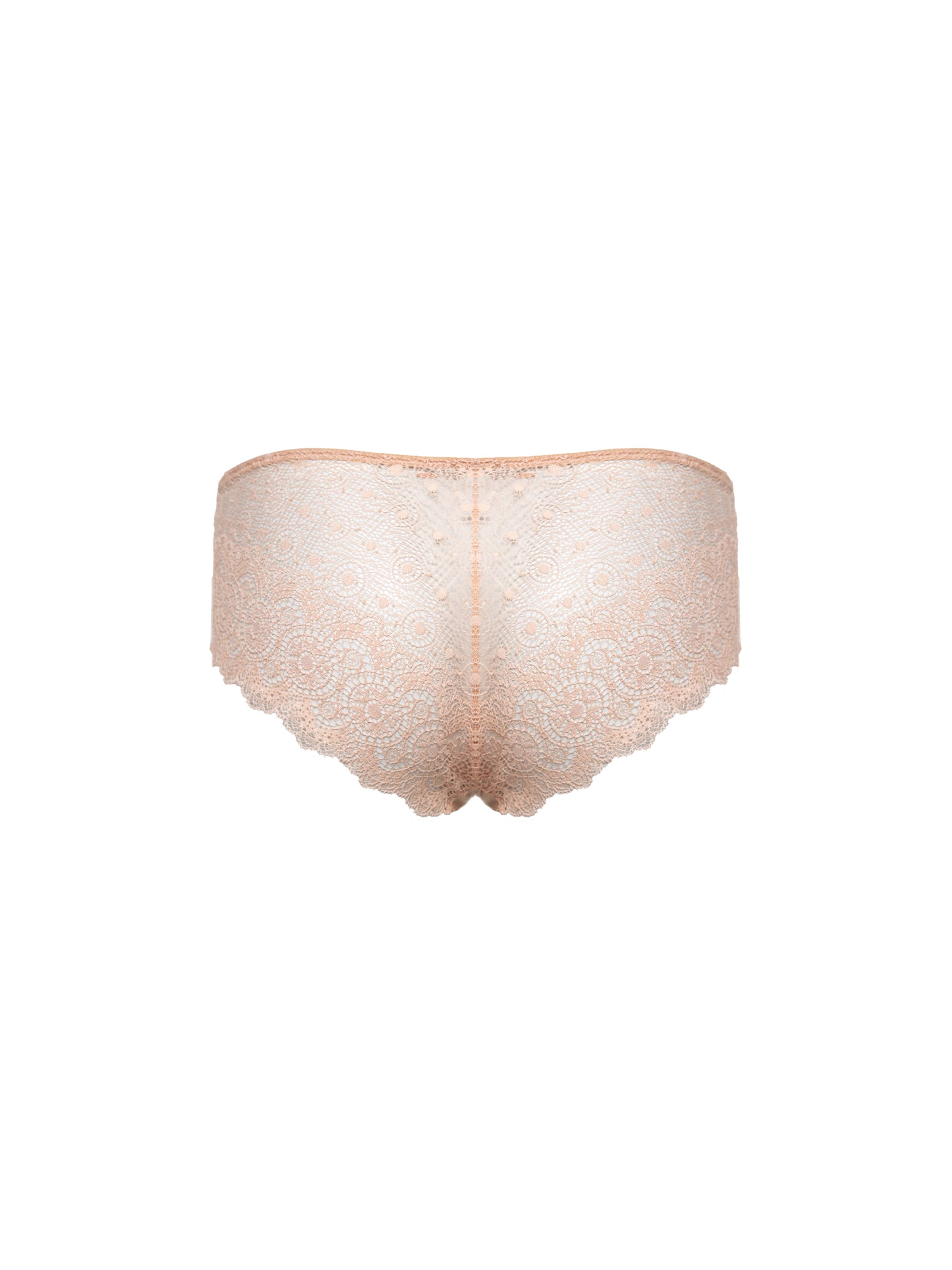 1502 Lace Briefs - Nude
