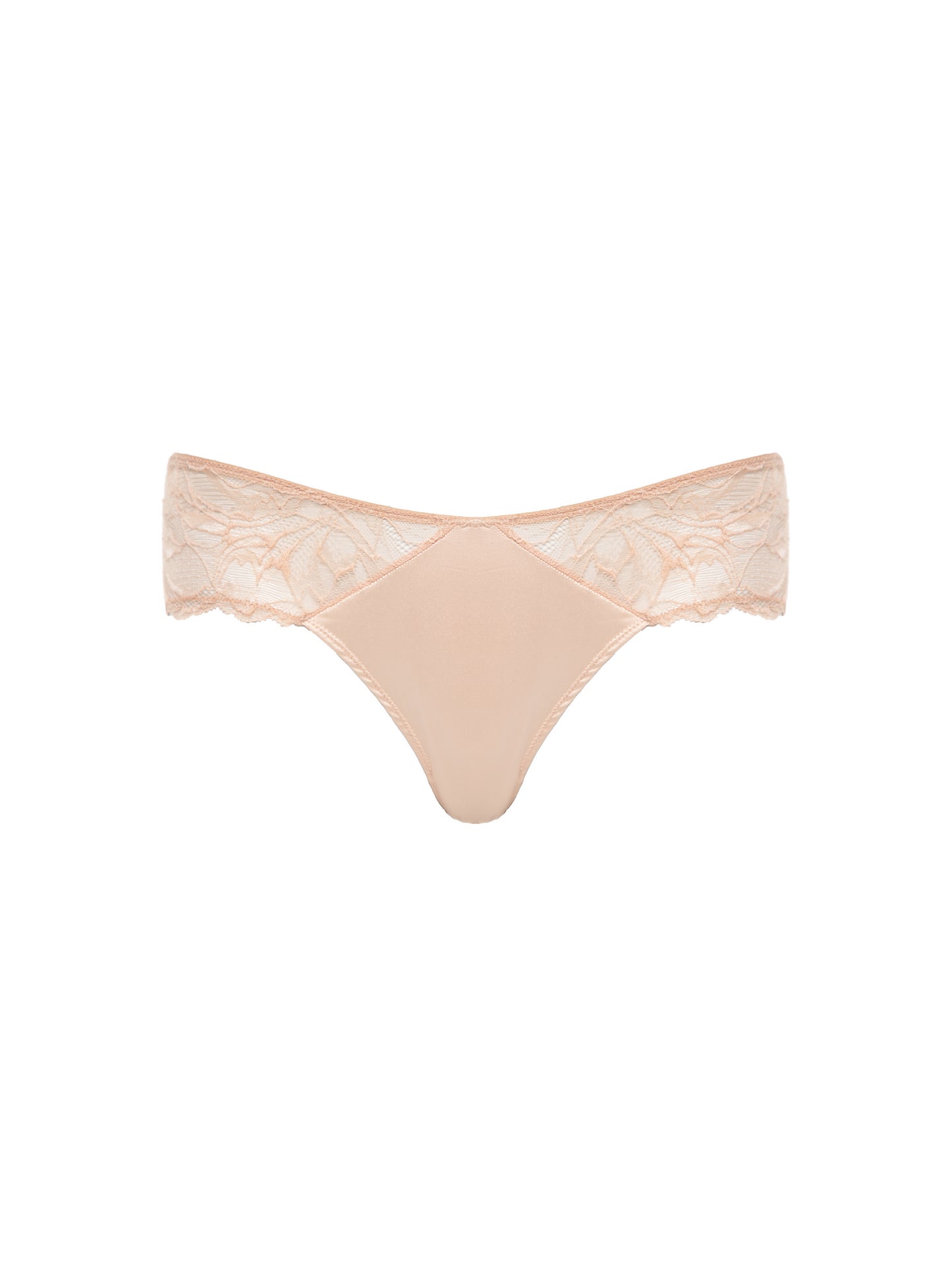 1501 Lace Briefs - Nude