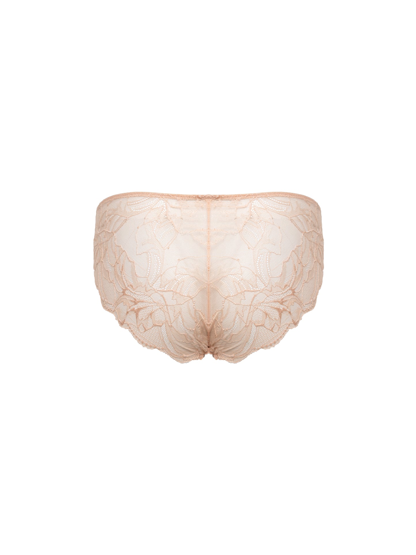 1501 Lace Briefs - Nude