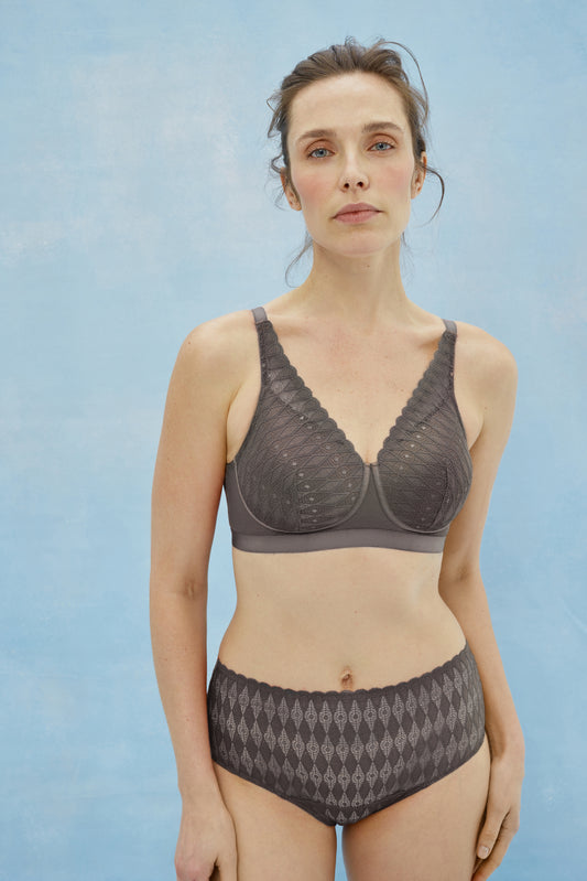 Lotus M7107 full-coverage brief - Iron