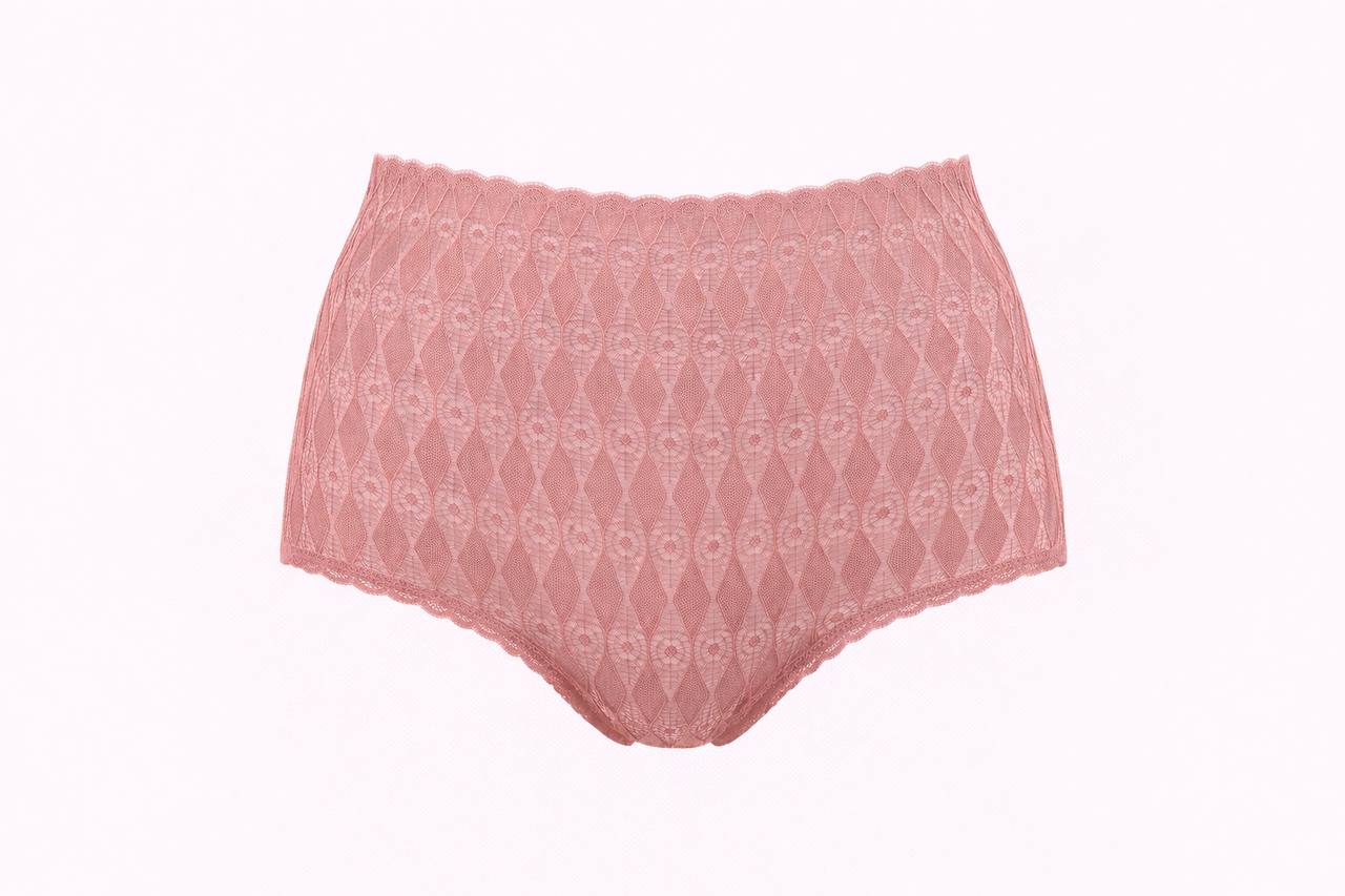 Lotus M7107 full-coverage brief - Adobe Rose